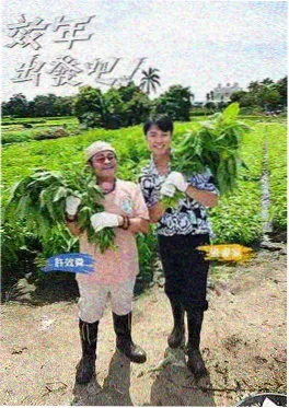 km视频播放器在线观看推理现场